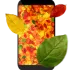 Autumn Leaves 3D Live Wallpaper icon