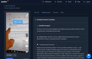 Detailed overview of a video