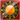 Astrology & Fortune icon