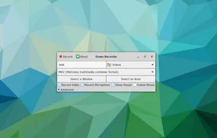 Green Recorder screenshot 1
