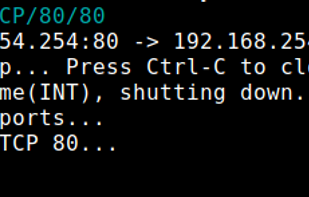 portforwarder-rs screenshot 1