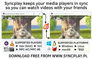 Syncplay screenshot 1