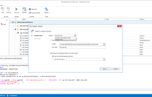 ApexSQL Decrypt screenshot 2
