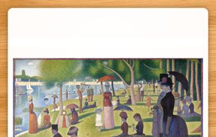 Flashcards Deluxe screenshot 1