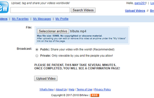 Bitview screenshot 2