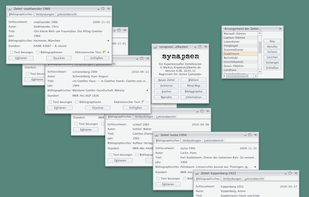 synapsen screenshot 1