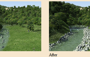 Visual Nature Studio screenshot 1