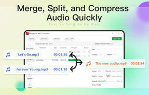 Kingshiper MP3 Converter screenshot 2