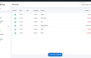 Ashampoo Money Pro screenshot 3