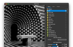 1-bit monochrome DBS dithering example
