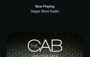 ArchiveTune screenshot 1