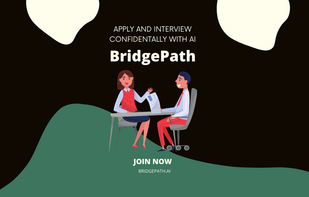 BridgePath screenshot 1