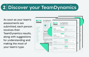 Receive a comprehensive report describing your team's behavioral preferences.