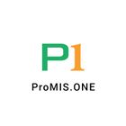 ProMIS.ONE icon