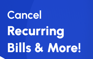 Chargeback Subscription Manager screenshot 1