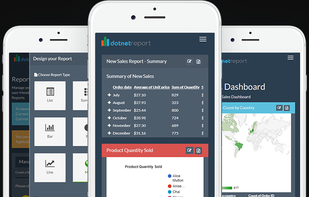dotnet Report Builder screenshot 1