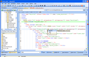 HippoEDIT screenshot 1