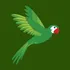 Price Parrot icon