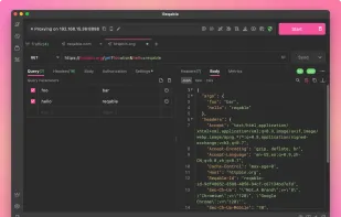 Reqable screenshot 2