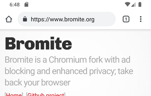 Bromite SystemWebView screenshot 1