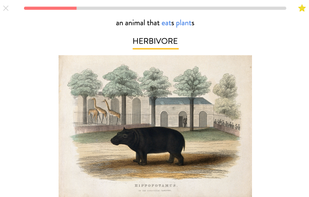 Thousands of images.