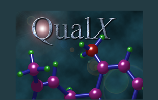 QUALX screenshot 3