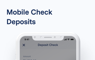 BlueVine screenshot 3