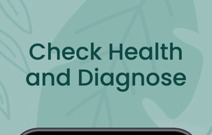 PlantTalk screenshot 2