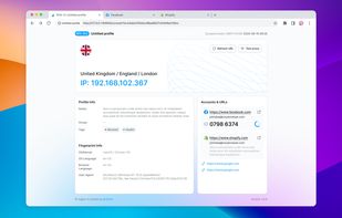 RoxyBrowser screenshot 1