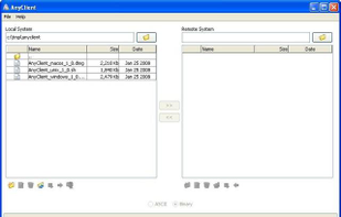Local + Remote System