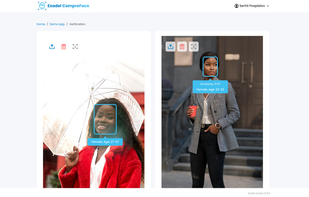 Face verification service test page
