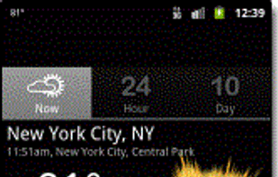 Palmary Weather screenshot 1