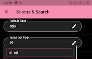 LoliSnatcher screenshot 1