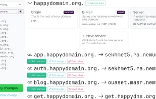 Main domain page: an abstract view of the zone, the raw records are grouped under services.