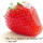Strawberry Perl icon