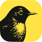 B&#239;rch icon