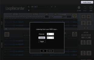 LoopRecorder (VST/AU plugin, Standalone) screenshot 1