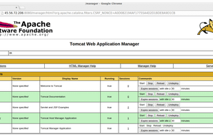 Apache Tomcat screenshot 1