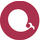 ECharts icon