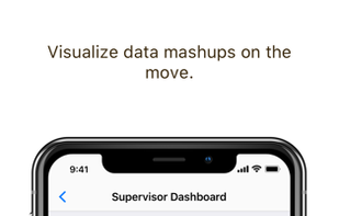 Zoho Creator screenshot 3