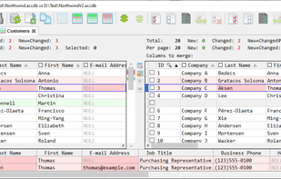 AccdbMerge screenshot 2