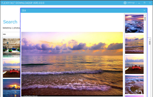 Flickr Fast Downloader screenshot 1