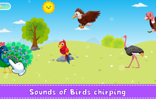Animal Sound screenshot 3