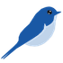 BlueTail.in icon