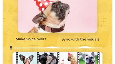 Sync your video and presentation with voiceover directly in the Murf online tool