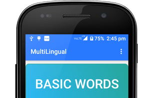 Multilingual main screen