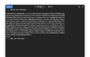 Lock GnuPG screenshot 1