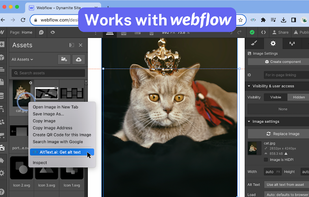 AltText.ai screenshot 3
