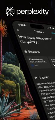 Perplexity screenshot 1