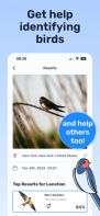 Birda - bird ID &amp; Birding screenshot 3